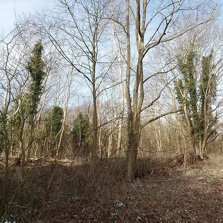 Ξενοδοχείο Marion